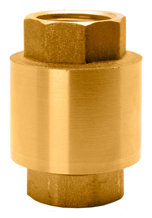 Brass vertical check valve
