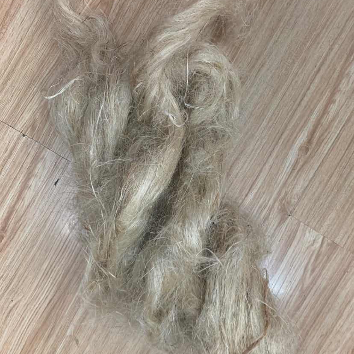 黄麻
