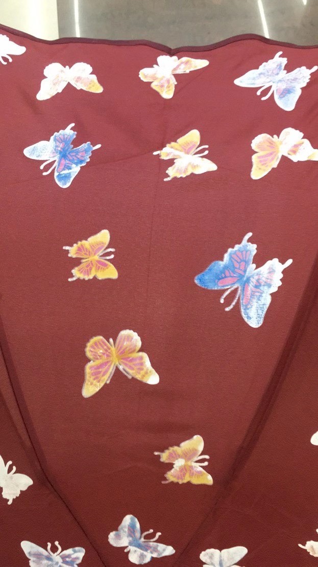 Butterflies change color when they encounter water Application Scenario