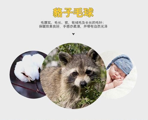 Hat Female Autumn Winter Raccoon Fox Real Fur Fur Hat Thick Knit Hat Winter Korean Version Warm Hat full figure