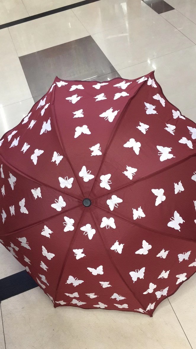 Butterflies change color when they encounter water Specification image