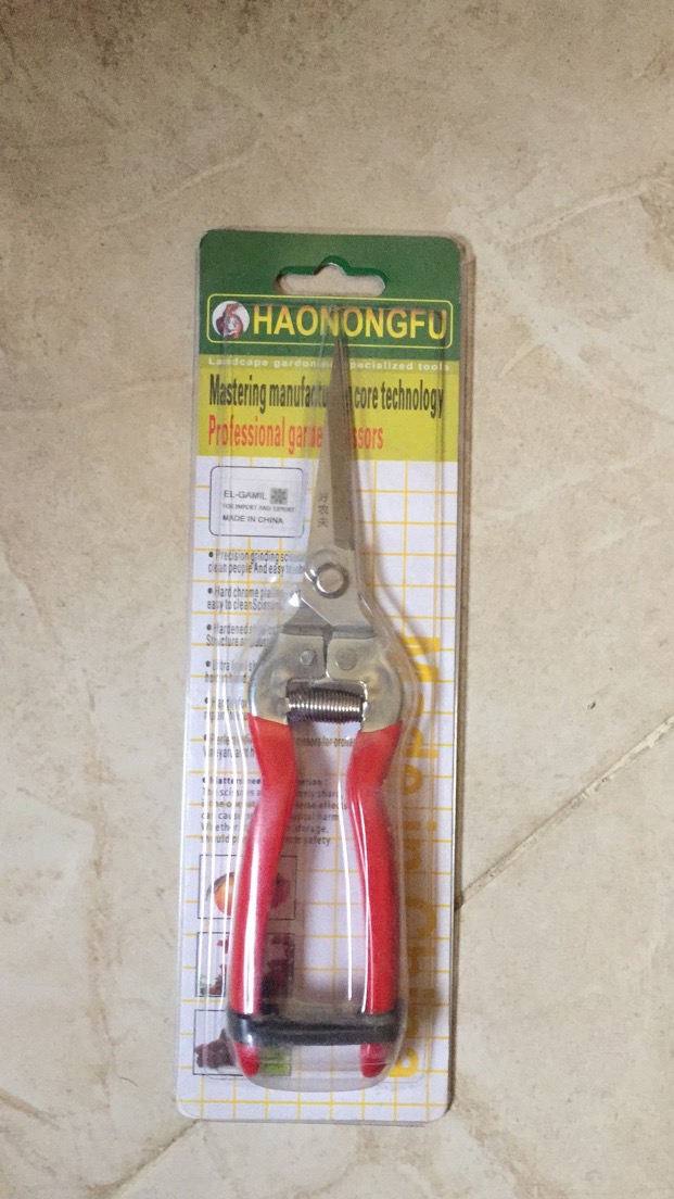 303 scissors thumbnail