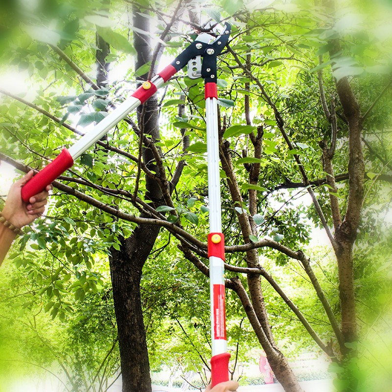 整篱剪  高枝剪（伸缩） 大力剪详情图2