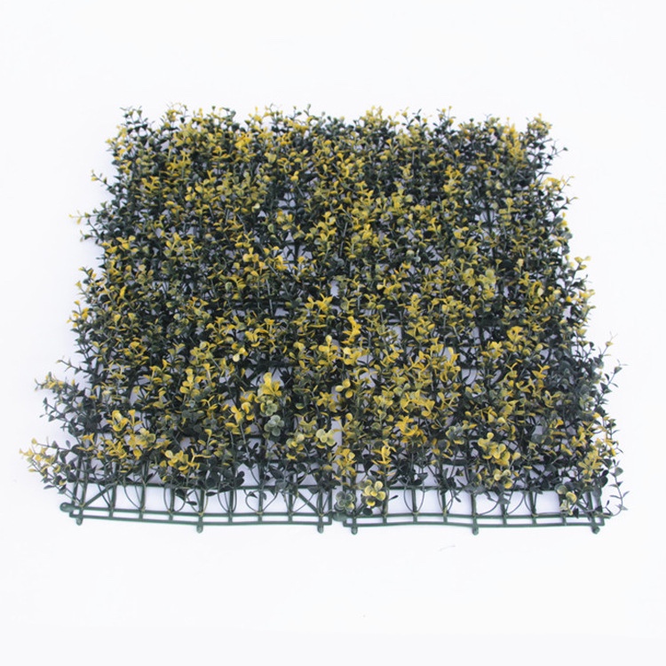 50 Eucalyptus