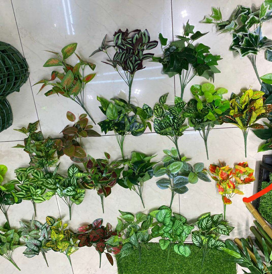 7 forks of green plants thumbnail