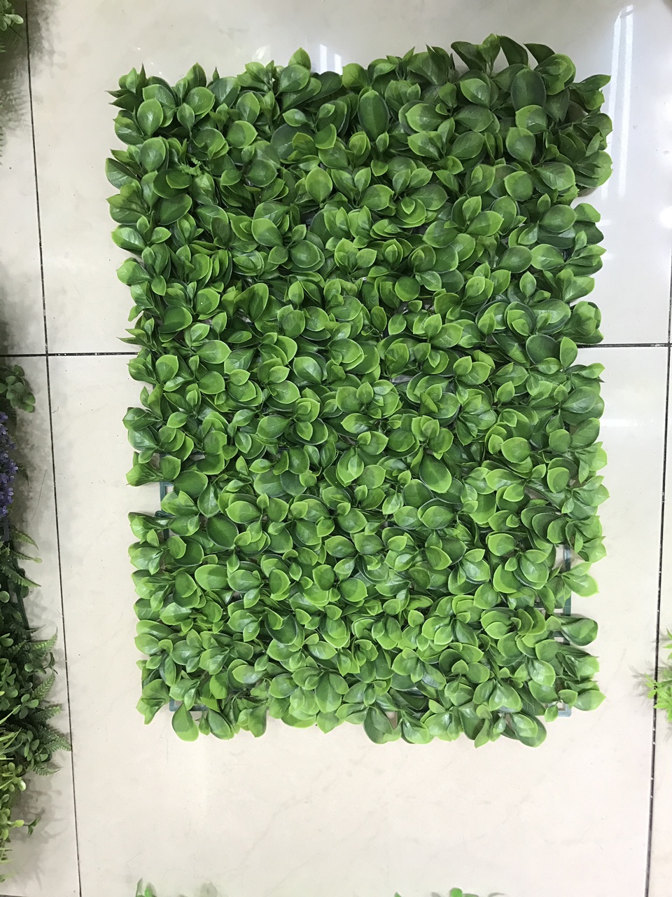 Chinese cabbage leaf