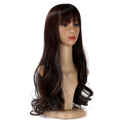 New highlights dyed wig for women, long curly hair, European and American export source headwear detail image 4
