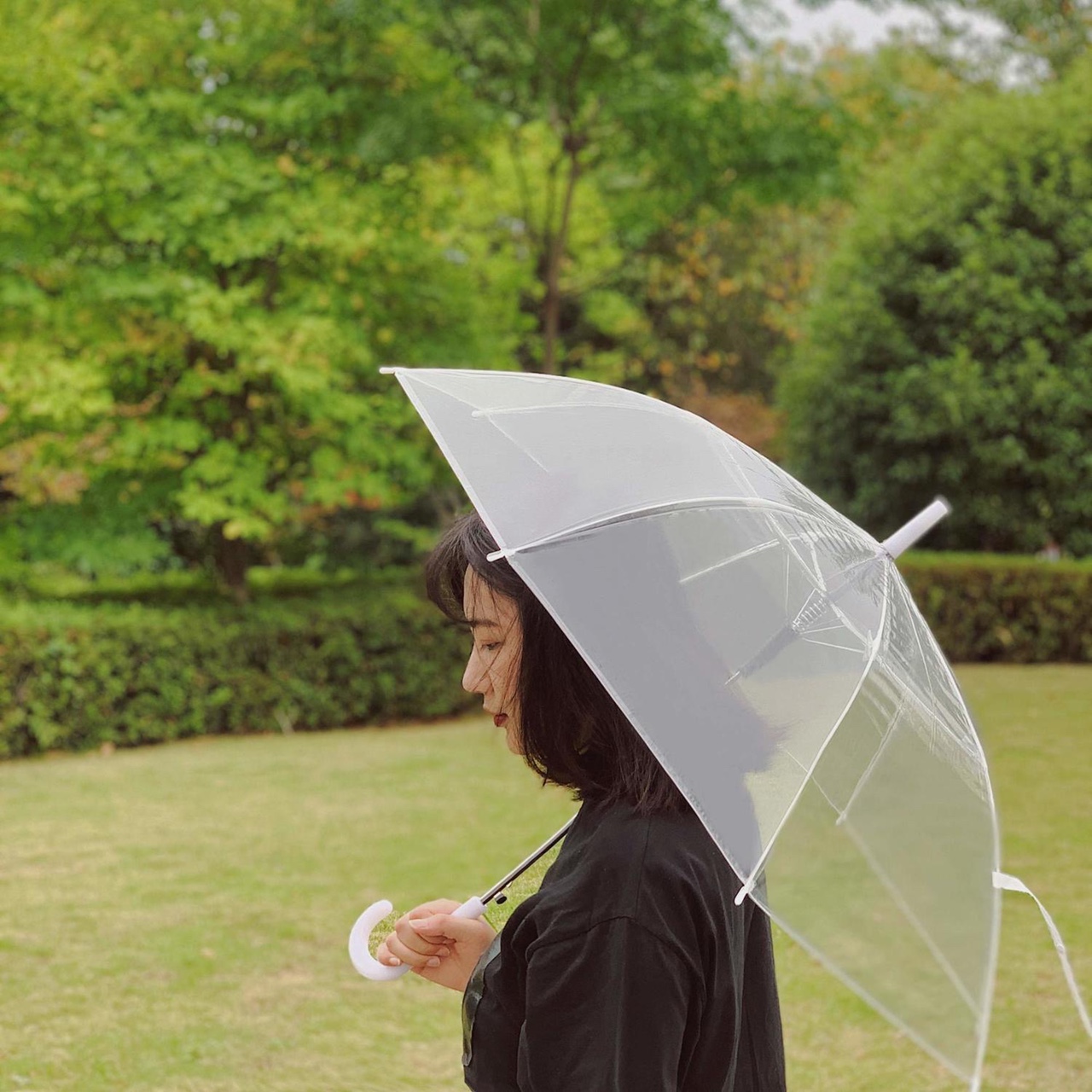 透明雨伞 PVC