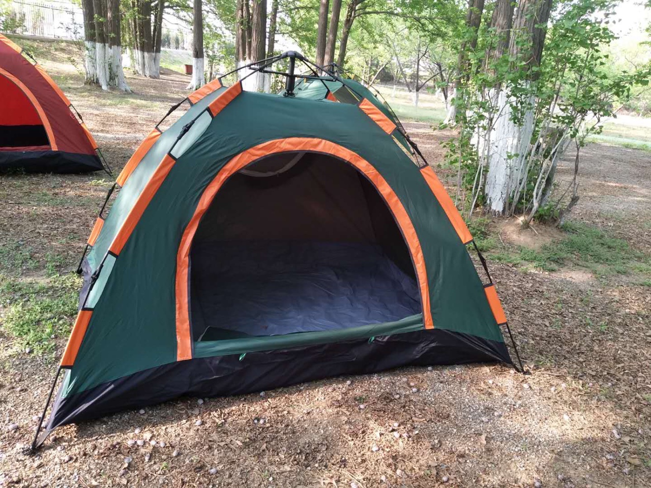 军绿自动帐篷