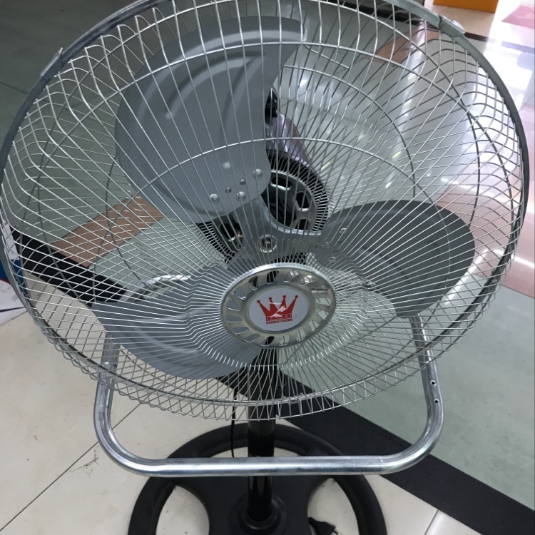 Fan