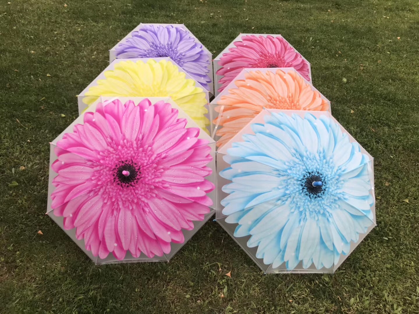 EVA玫瑰花产品图