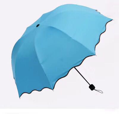 It blossoms as an umbrella when exposed to water details Picture
