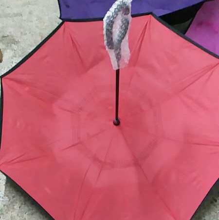 Reverse umbrella