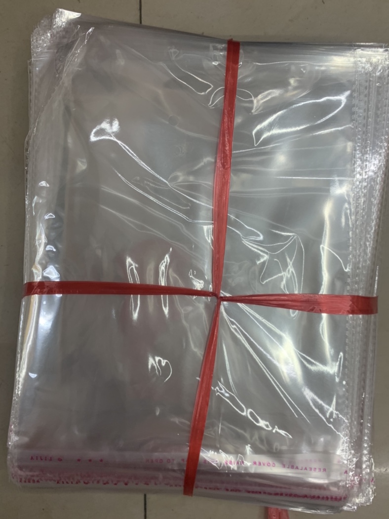 OPP self-adhesive bag 20*30