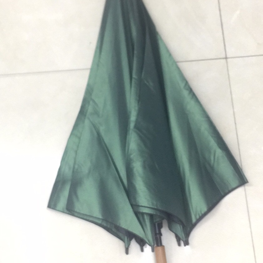 Cane umbrella