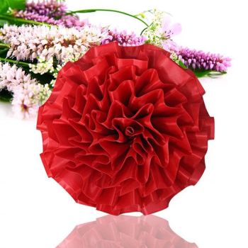 Safe Light Palace Lamp Plastic Paper Lantern Pvc Big Red Palace Lamp Festive Supplies 2