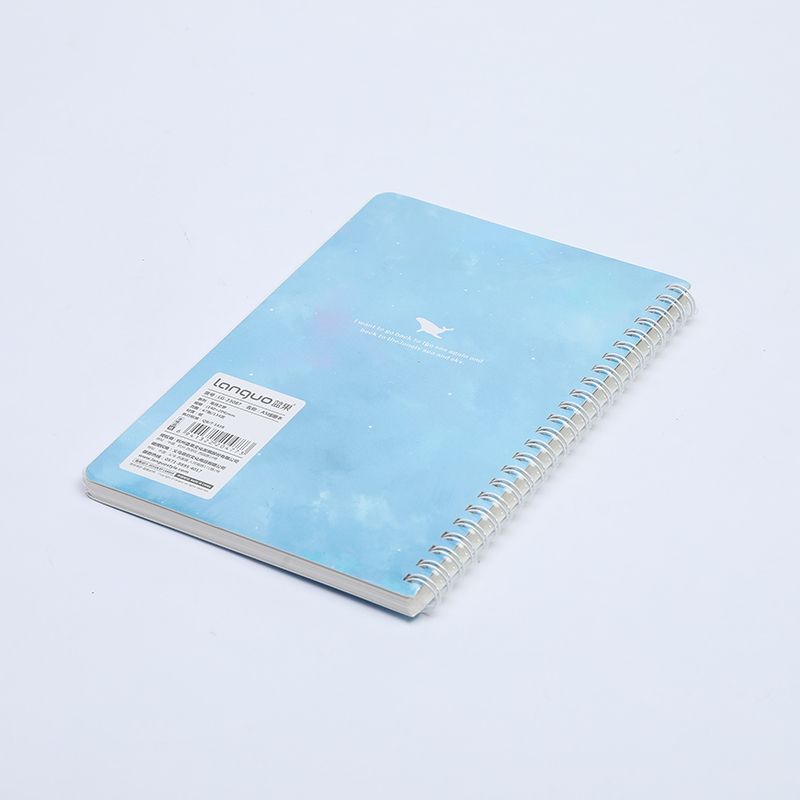Yiwu Selection Haiyue Dream A5 coil /28708 Specification drawing