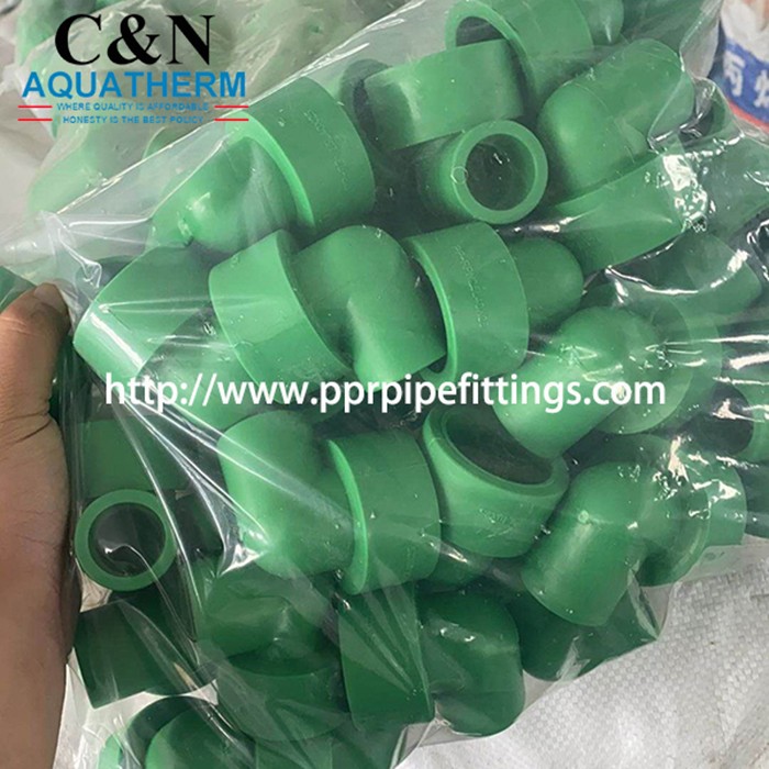 PPR Pipe Fittings double internal thread elbow Internal thread elbow 20*1/2" 25*1/2" foreign trade detail image 6