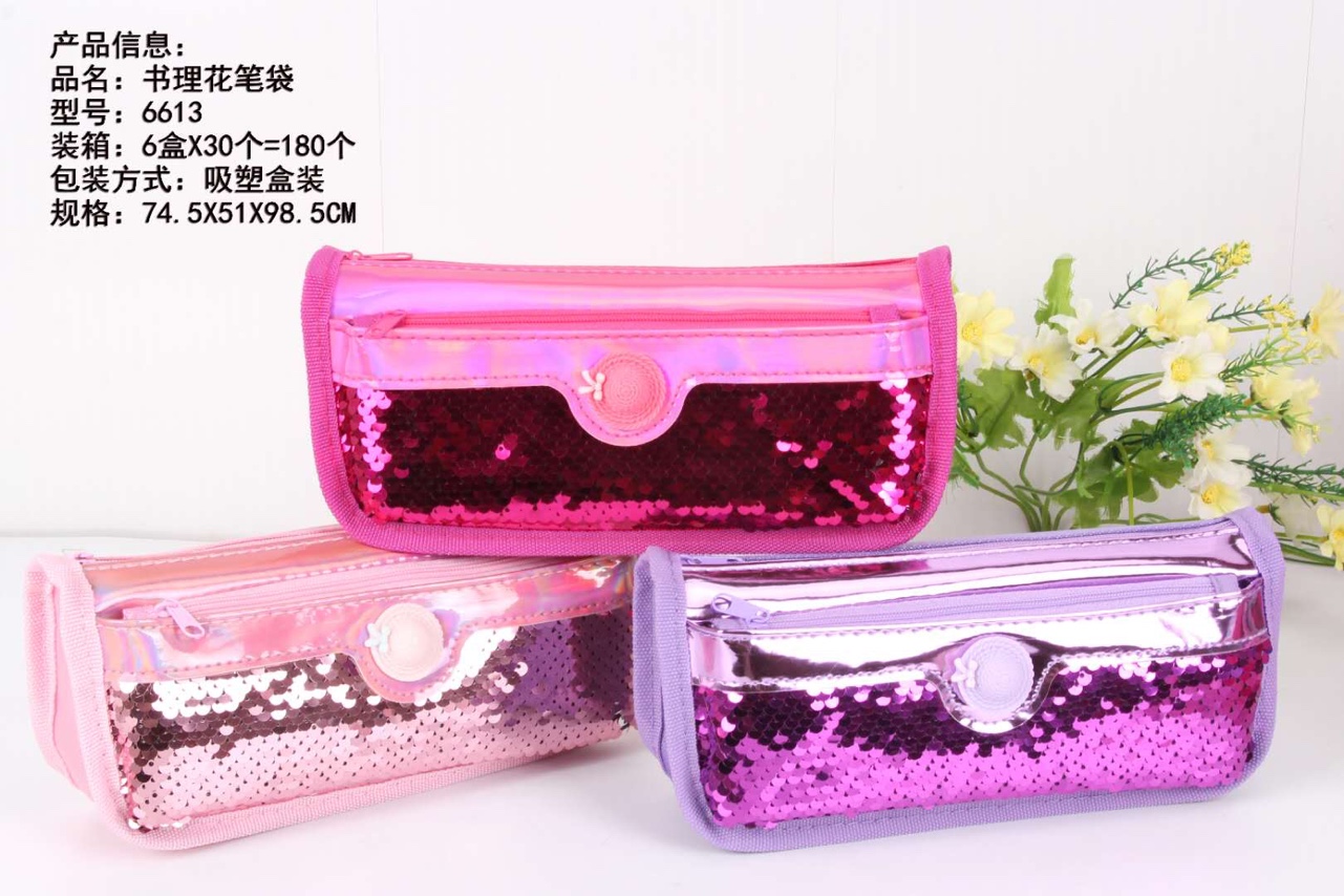 6613 Pencil Case