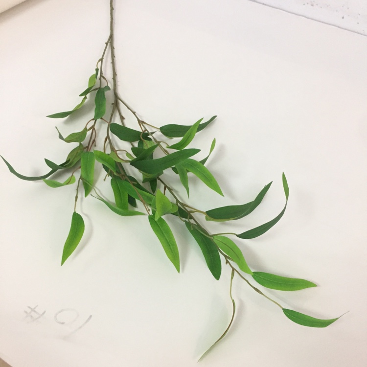 仿真植物实物图