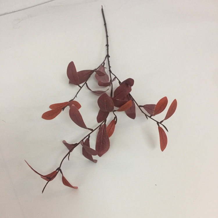 3叉小橄榄叶仿真绿植绿叶摆放花草详情图5