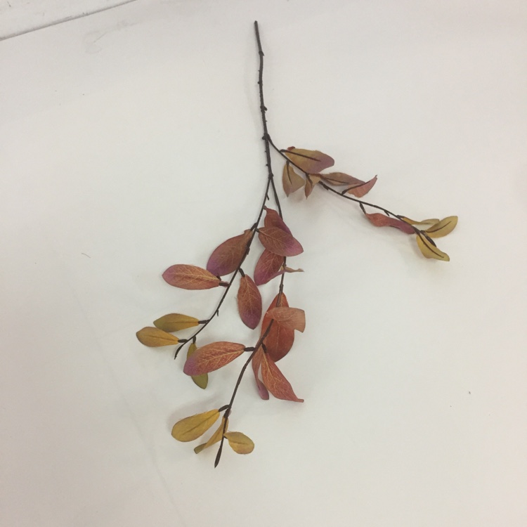 3叉小橄榄叶仿真绿植绿叶摆放花草详情图6