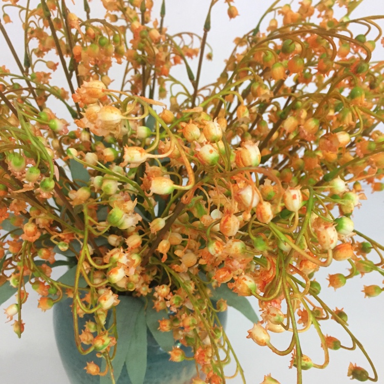 Put A Lily Of The Valley Home Decor Sample Table Flower Set Flower Bouquet Specification drawing