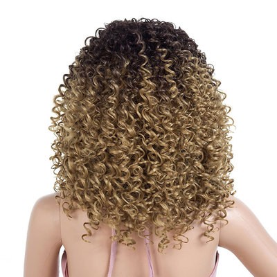 New gradient color African small curly synthetic fiber wig cover for women's long curly hair in Europe and America detail image 4