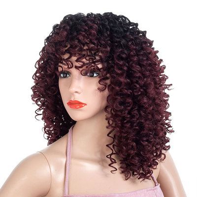 New gradient color African small curly synthetic fiber wig cover for women's long curly hair in Europe and America details Picture