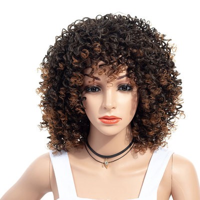 New style of fashionable European and American wigs, African small curly explosion hairstyle European and American wigs detail image 1