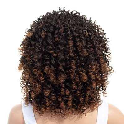 New style of fashionable European and American wigs, African small curly explosion hairstyle European and American wigs detail image 5