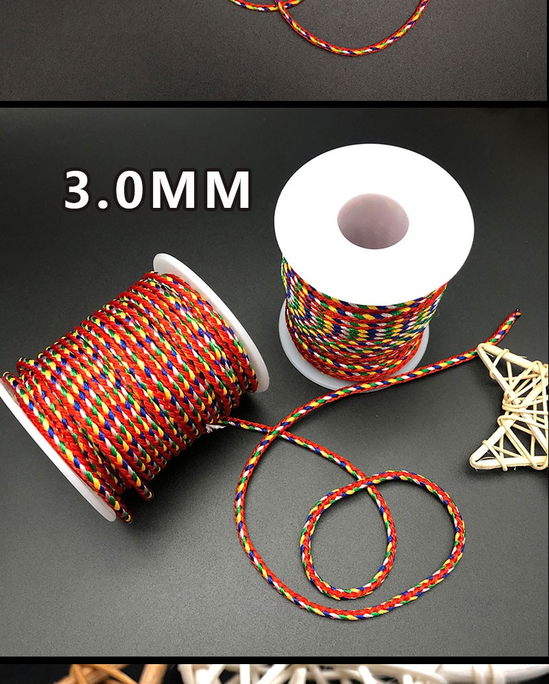 3.0MM multicolored rope Dragon Boat Festival egg loop rope bracelet necklace woven thread detail image 6