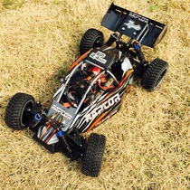 rc1:10 High speed remote control skeleton car 53210