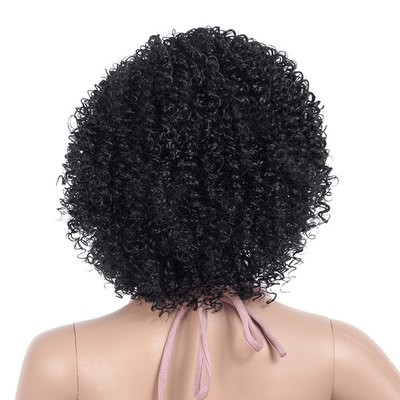 European and American wigs, African small curls, explosion heads, short styles detail image 4