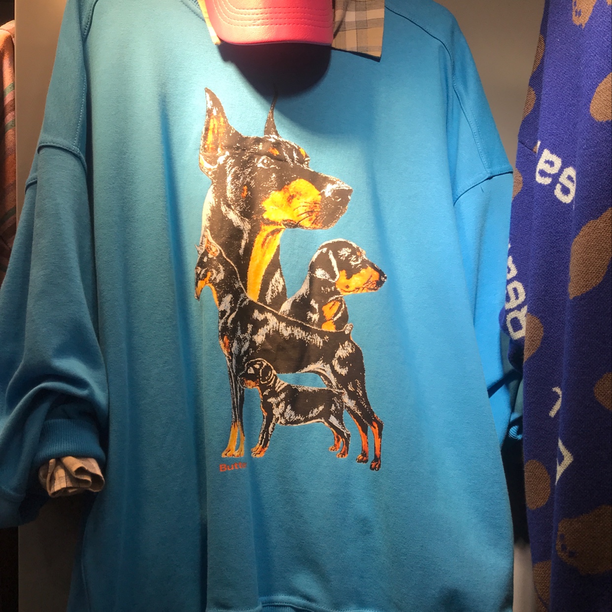 秋款休闲狗狗大版卫衣