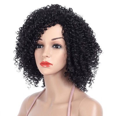 European and American wigs, African small curls, explosion heads, short styles detail image 5