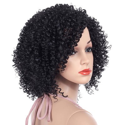 European and American wigs, African small curls, explosion heads, short styles detail image 3