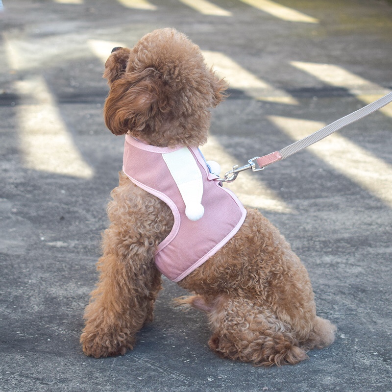 Upgraded version of the new pet leash and pet clothing from Han Gao You Pin undefined