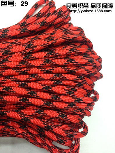 Paracord 29