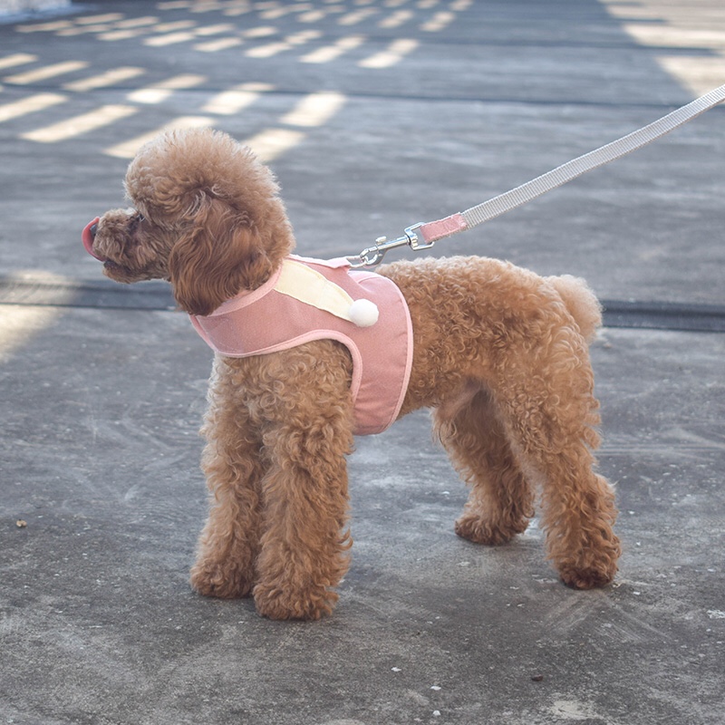 Upgraded version of the new pet leash and pet clothing from Han Gao You Pin undefined