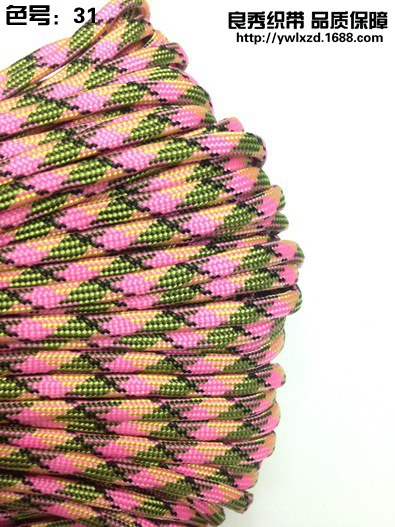 Paracord 31