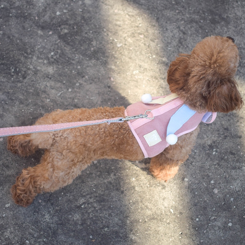 Upgraded version of the new pet leash and pet clothing from Han Gao You Pin details Picture