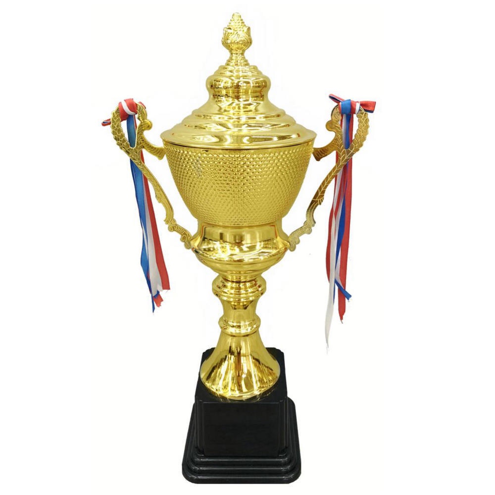 奖杯 奖牌 高档 金属奖杯 展示 美观装饰详情1