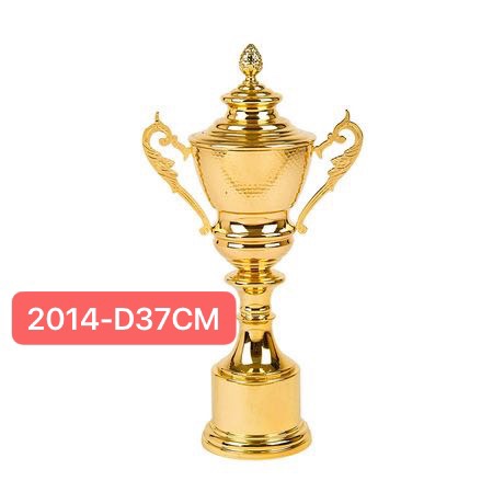 奖杯2014-D