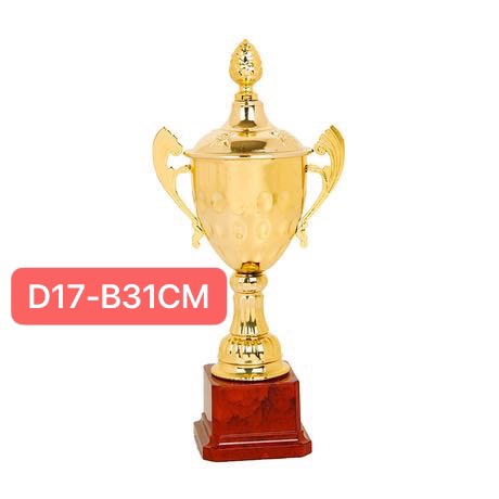 奖杯D17-B