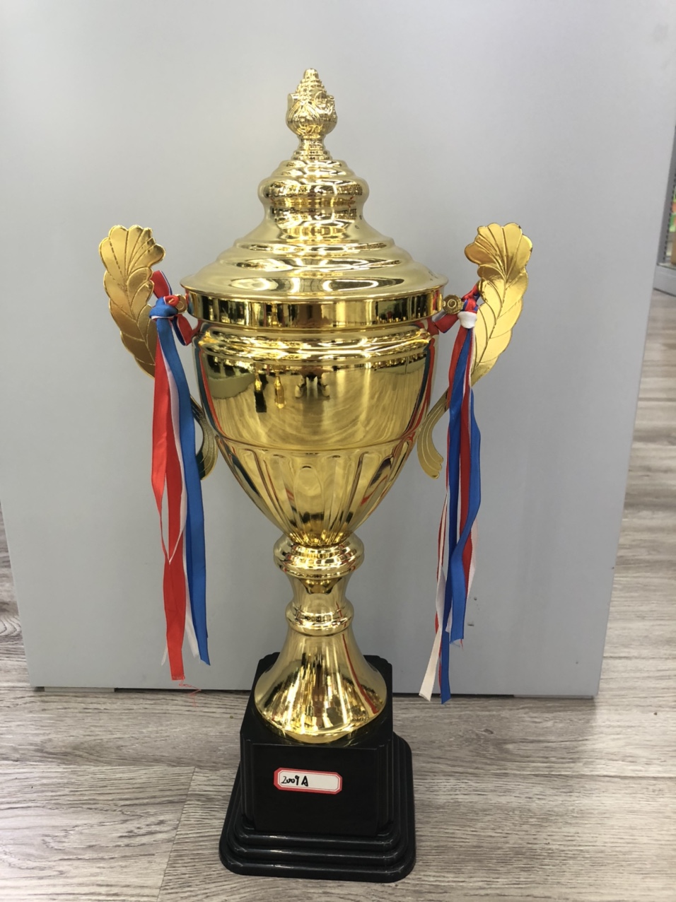 金属塑料奖杯金杯金属塑料奖杯金杯