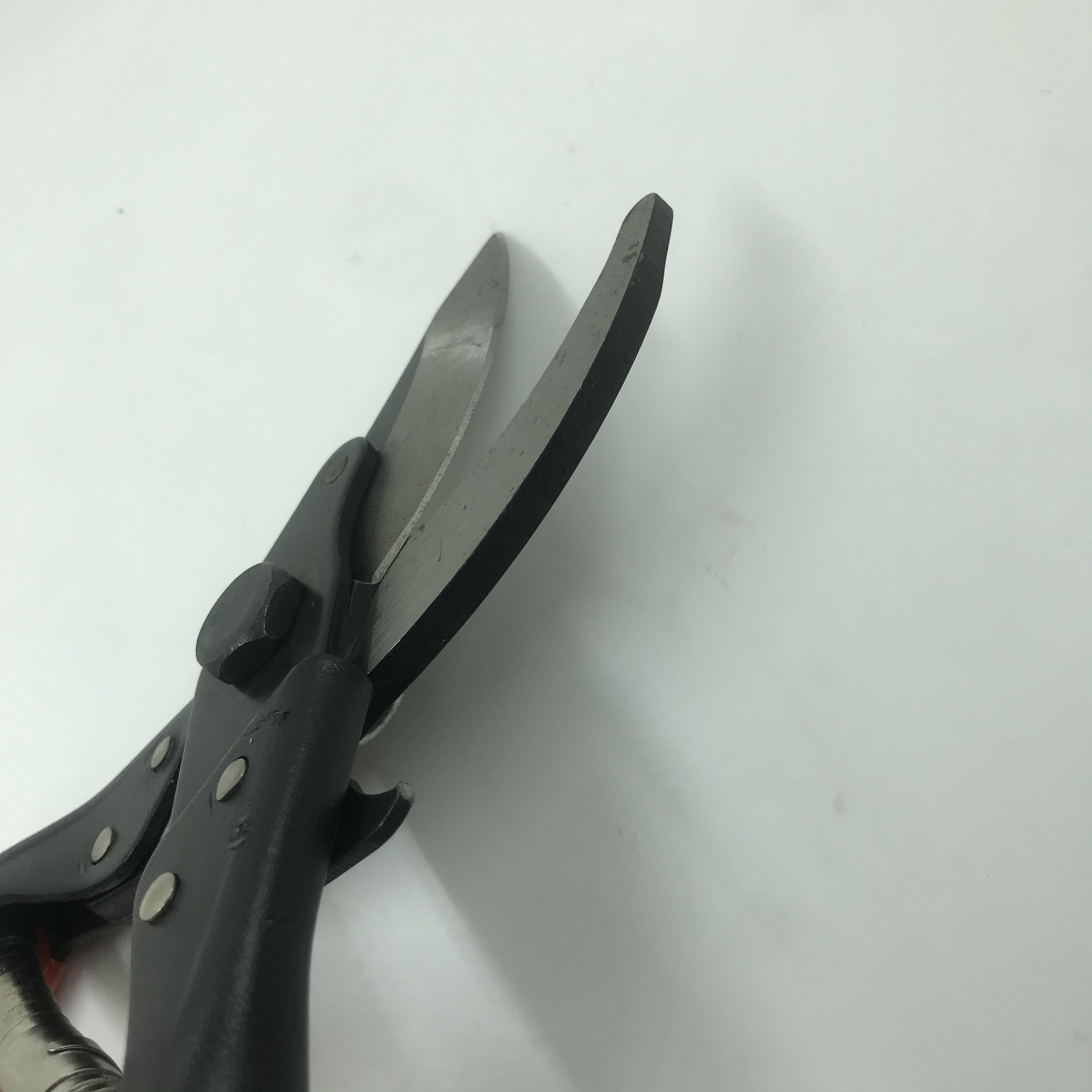 H401 Ant-Ps-802 Garden Scissors Item Picture