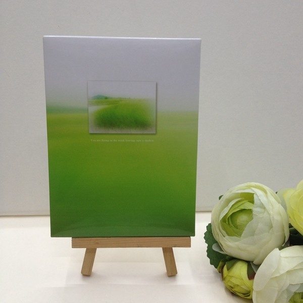 飞鸟明信片贺卡520  盒装明信片批发风景卡片15张装详情1