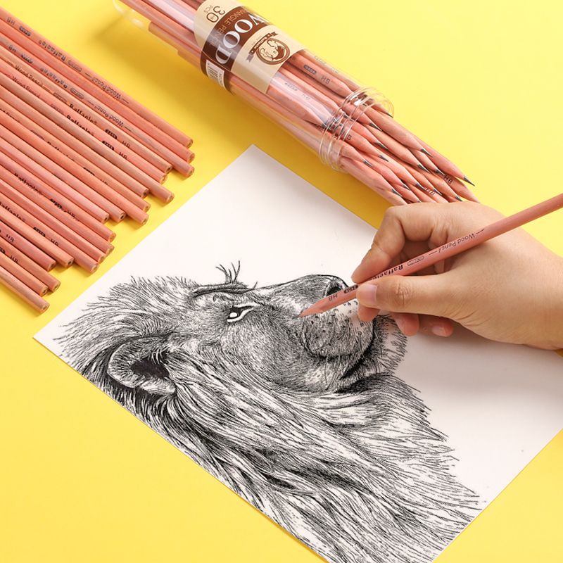 铅笔/洞洞铅笔/木工铅笔/文具/12色彩铅细节图