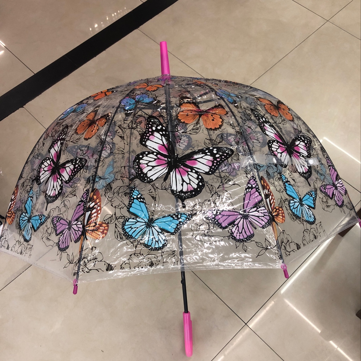 60公分透明阿波罗蝴蝶